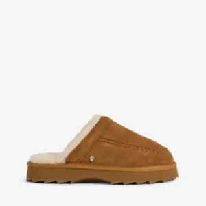 Alternative view of Sharky Slide Chestnut