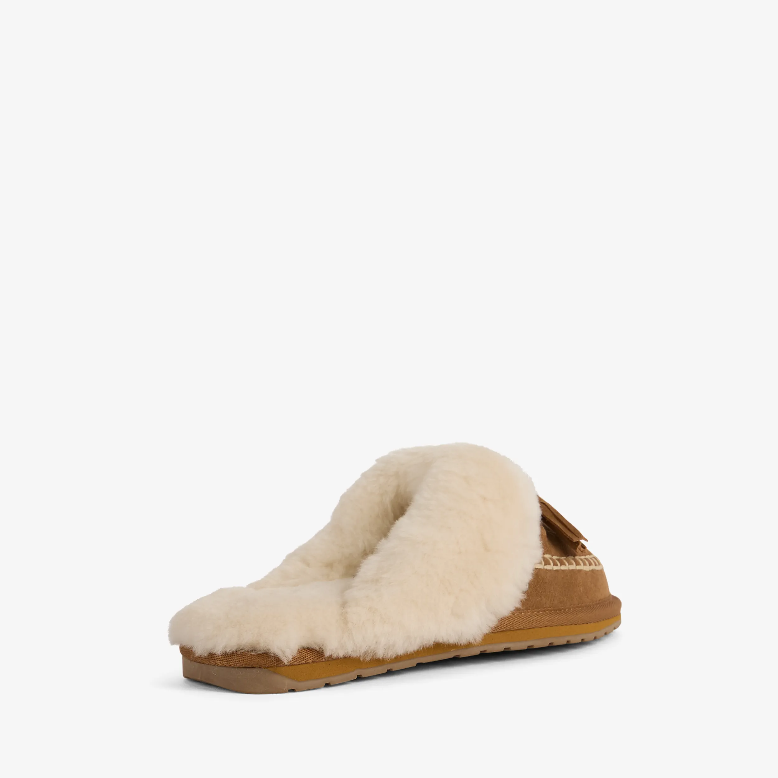 Tanhee Chestnut – Image 4