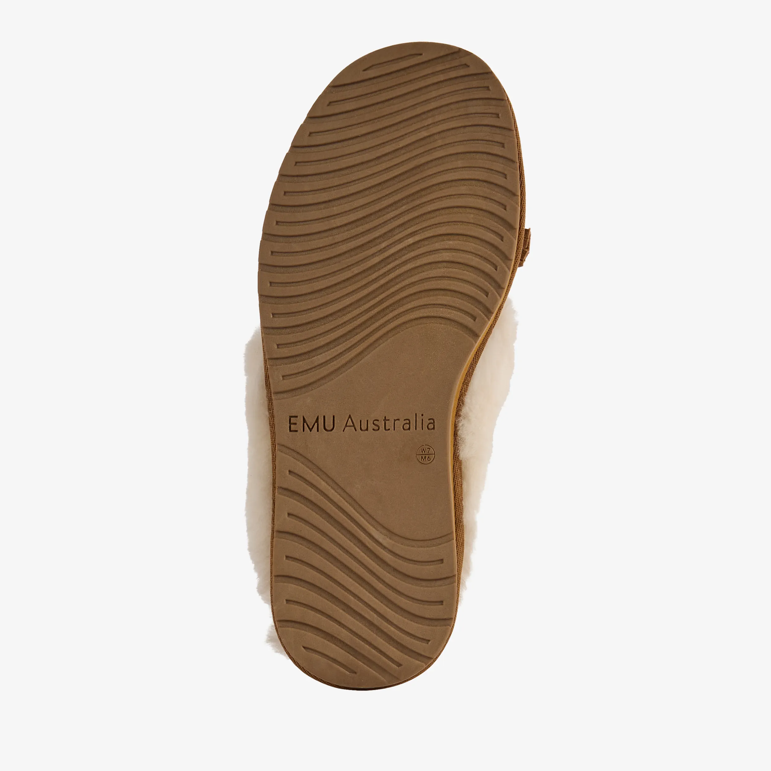 Tanhee Chestnut – Image 5
